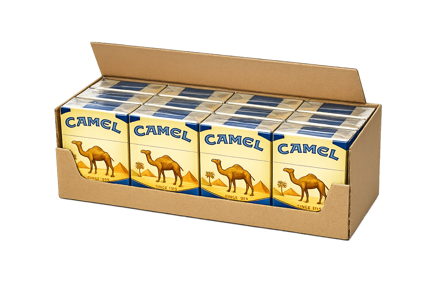 2 Cartones Camel